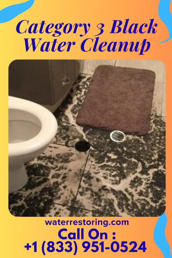 Category 3 Black Water Cleanup in Comstock Northwest, MI