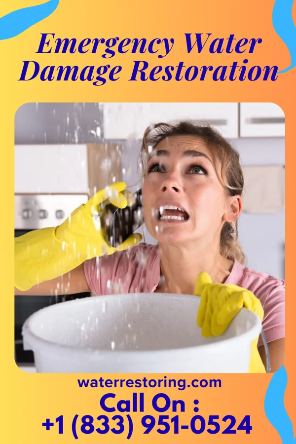 Emergency Water Damage Restoration in Comstock Northwest, MI