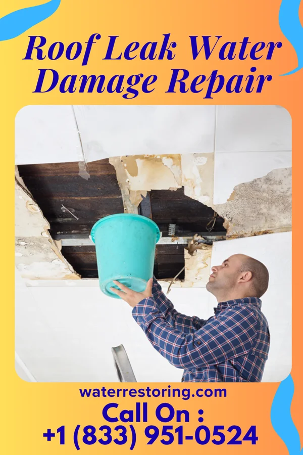 Roof Leak Water Damage Repair in Comstock Northwest, MI
