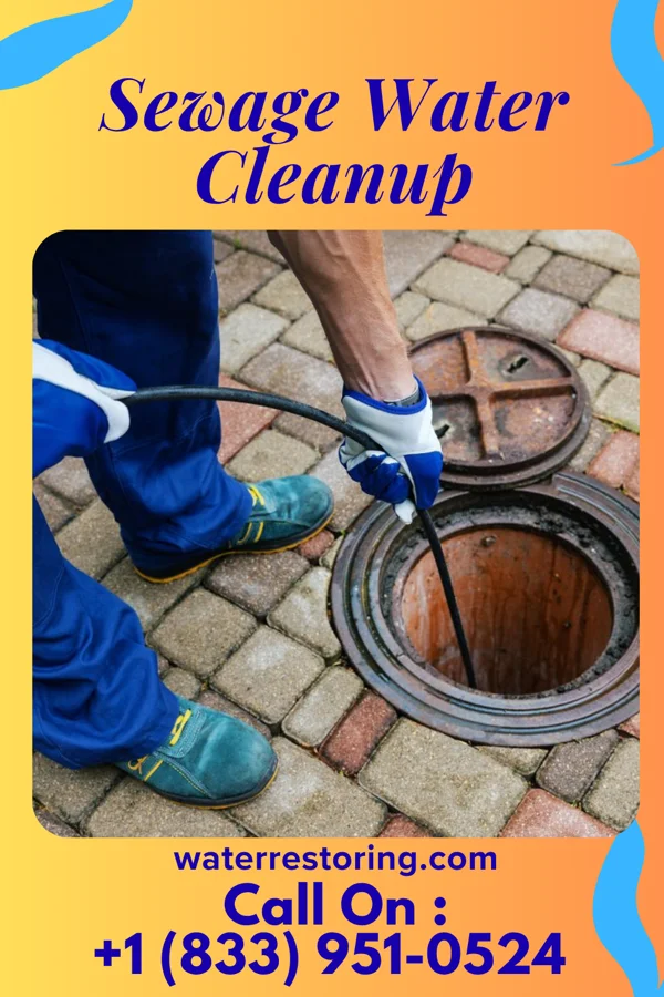 Sewage Water Cleanup in Comstock Northwest, MI