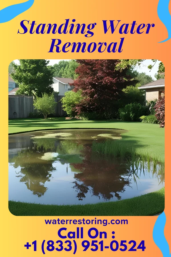 Standing Water Removal in Comstock Northwest, MI